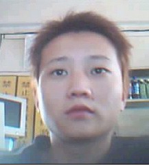 霹雳乄火┆凮凰